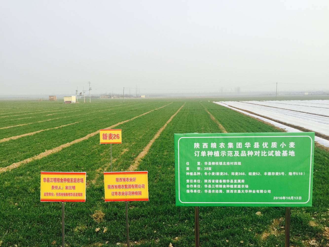 糧農集團訂單農業(yè)工作順利推進