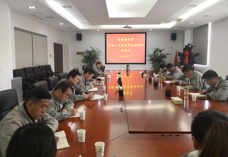 西瑞集團(tuán)：西瑞儲(chǔ)備庫公司開展黨的十九屆五中全會(huì)精神宣講