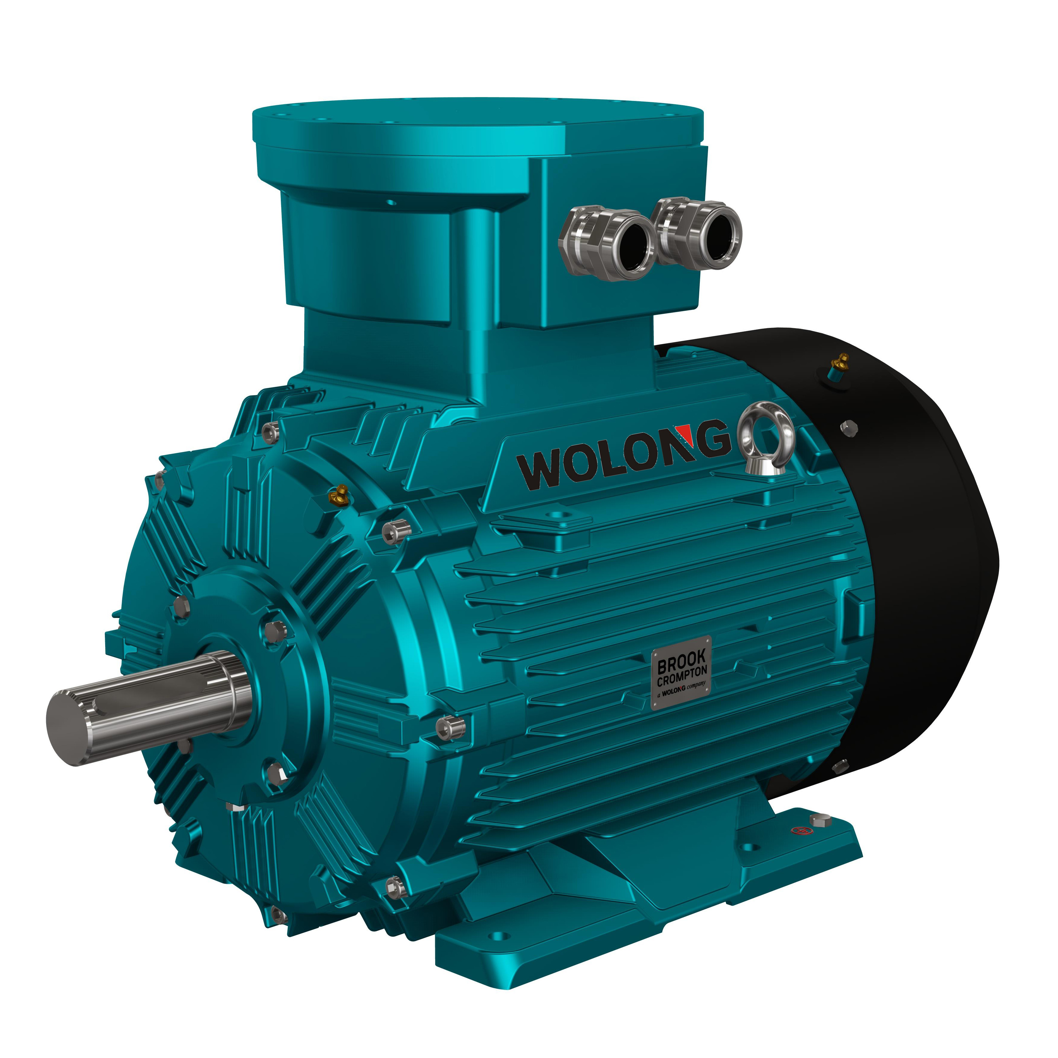 Low voltage AC motor